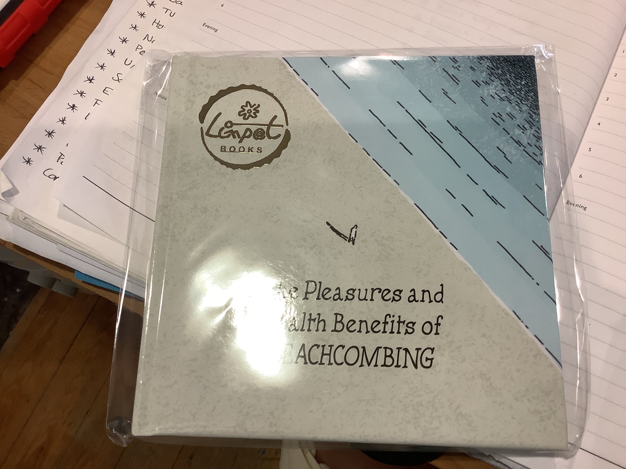 The Pleasures and Health Benefits of Beachcombing, Sally Barnett