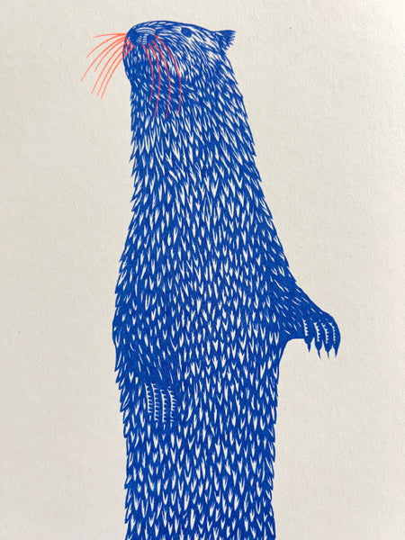 Long Otter, Strangford