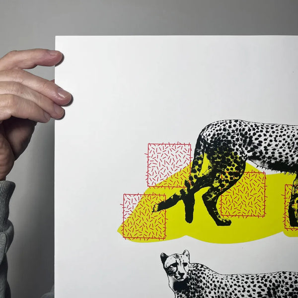 A Coalition of Cheetahs, A2,  Memori Prints
