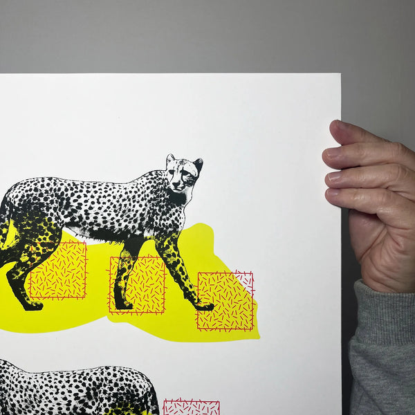 A Coalition of Cheetahs, A2,  Memori Prints
