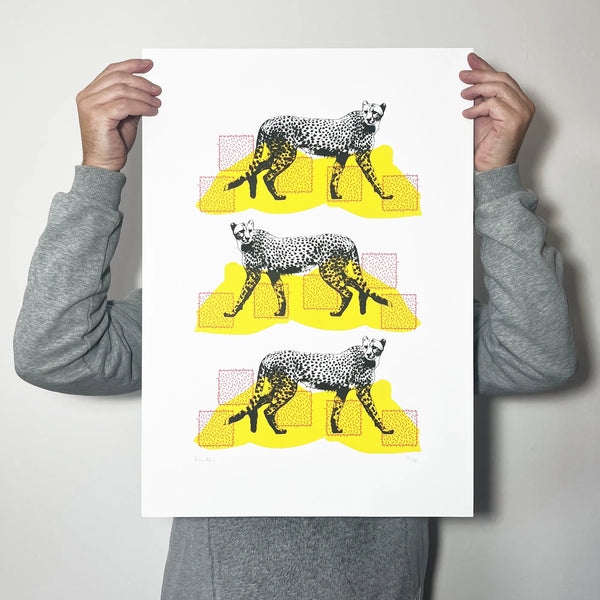 A Coalition of Cheetahs, A2,  Memori Prints