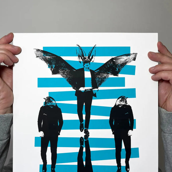 Bats & Robins A3,  Memori Prints