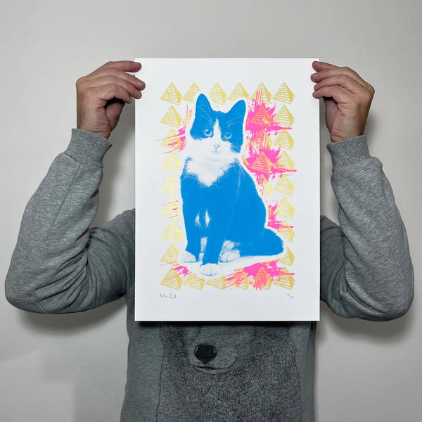 Cat Pyramids A3,  Memori Prints