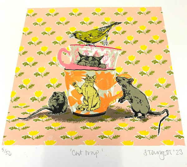 Cat Trap, Sarah Targett