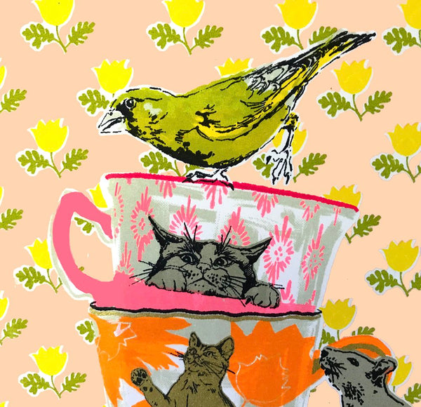 Cat Trap, Sarah Targett