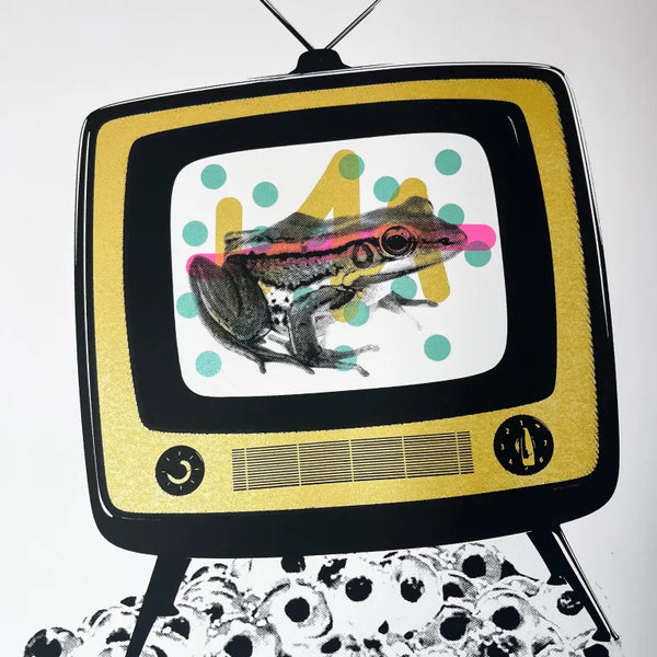 Froggy Vision, A2,  Memori Prints