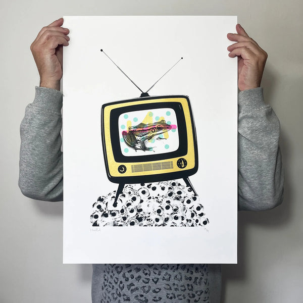 Froggy Vision, A2,  Memori Prints