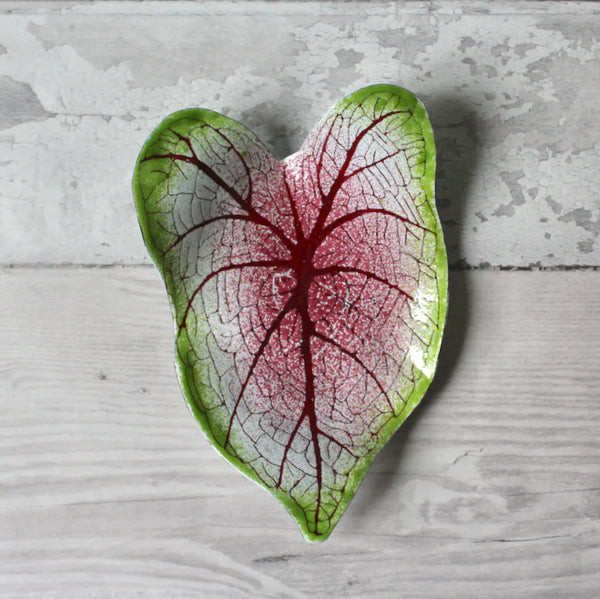 Caladium Trinket Dish, Pink, TD-4,