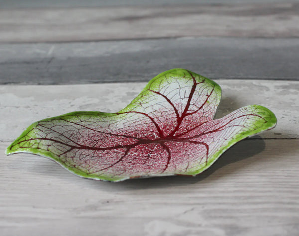 Caladium Trinket Dish, Pink, TD-4,