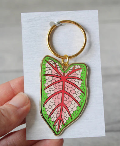 Caladium, Pink Queen Keyring, K-CP10
