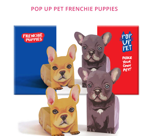 Pop Up Pets, Frenchie Puppies