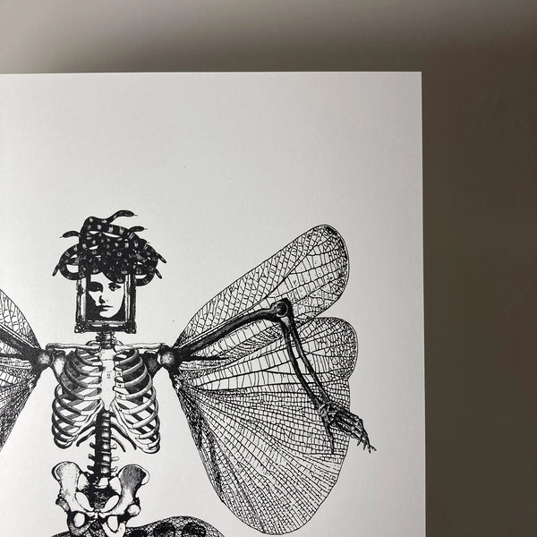 Medusa V1, A3, Memori Prints