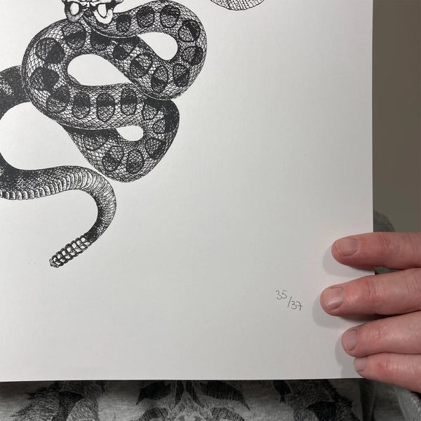 Medusa V1, A3, Memori Prints