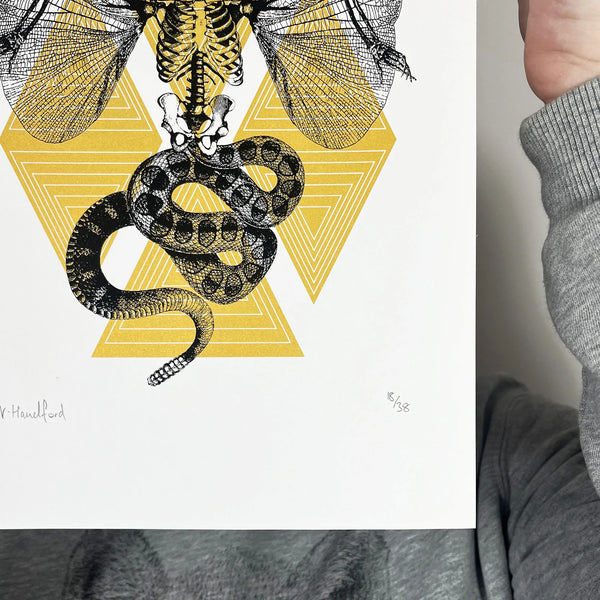 Medusa V5, A4, Gold & Black, Memori Prints