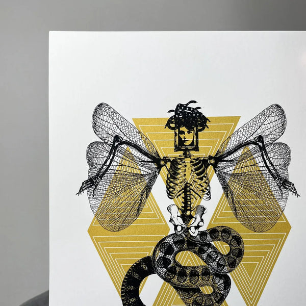 Medusa V5, A4, Gold & Black, Memori Prints