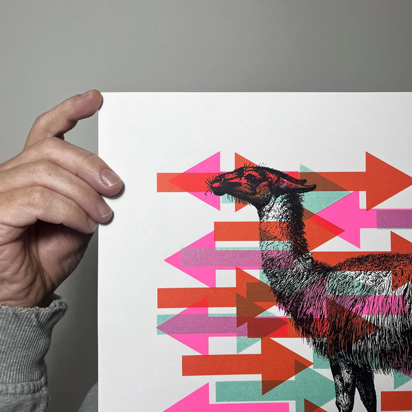 Push Me Pull You, A3, Memori Prints