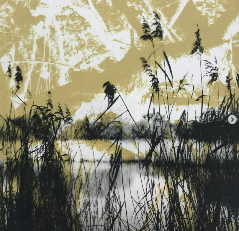 Lesley Roberts, Reeds & Lake Giclee (Unframed) Black Swan Arts